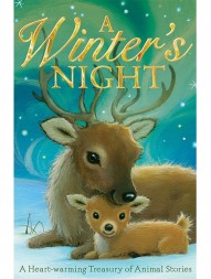 a-winter-s-night367