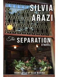 the-separation-a-novel1107