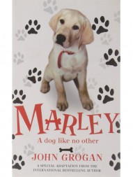 marley-a-dog-like-no-other-